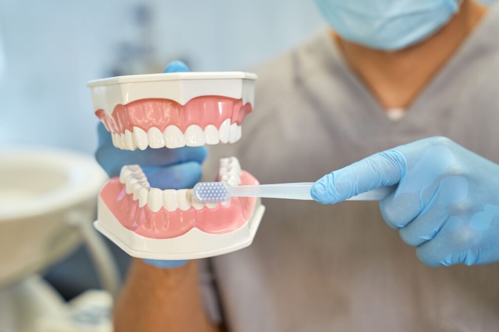 Dentista demostrando la técnica correcta de cepillado dental con modelo de mandíbula en clínica dental